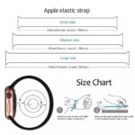 Apple elastic strap