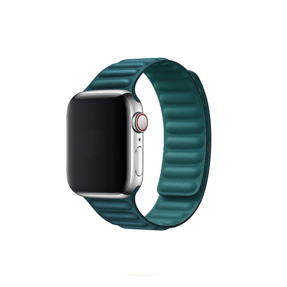 Apple Watch Leather Link Loop