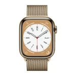 WIWU Apple Watch Milanese Loop with Extra Clasp – Gold