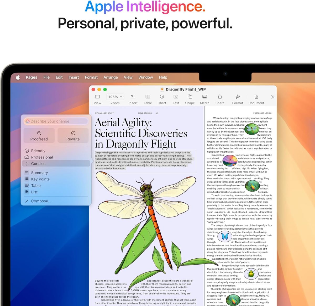 Macbook Air M4 13-Inch 16GB/256GB 10 Core CPU 8 Core GPU - Image 5